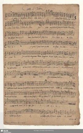 Canto ô Tenore.