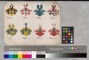 Probant: Mallinckrodt, Bernhard von; Vater: Mallinckrodt, [Rembert] von ; Mutter: Freitag (Fridag), [Agnes] von: [Münster, Domkapitel]