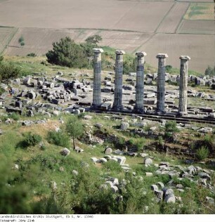 Türkei: Priene