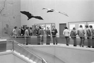 Sonderausstellung "Schützt unsere Fledermäuse" bei den Landessammlungen für Naturkunde/Museum am Friedrichsplatz