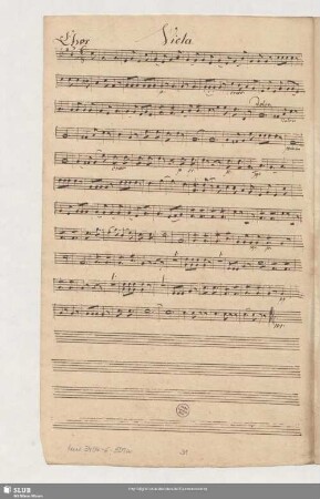 Viola