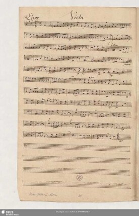 Viola