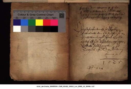 Visitation des Allerheiligenstifts Wittenberg