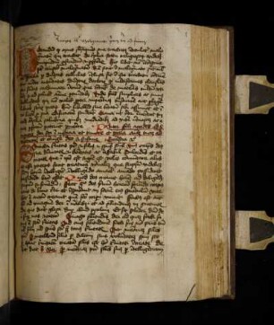 Prologus. Incipit liber malogranati primus
