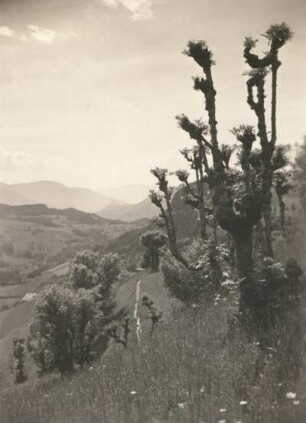 Ostalpen. Berglandschaft, vermutlich im Überetschgebiet südlich von Bozen