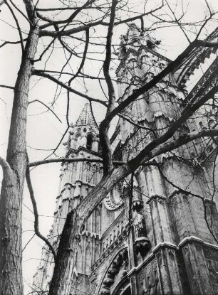 Die Kathedrale von Palma