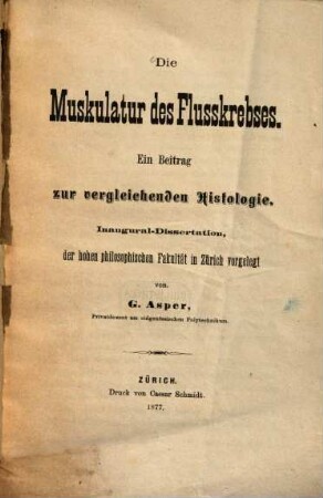 Die Muskulatur der Flusskrebses