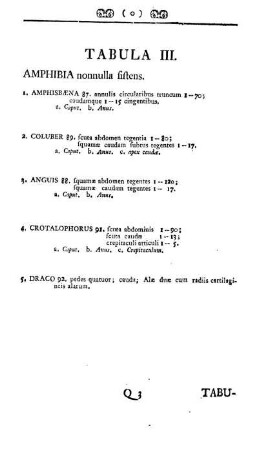 Tabula III. Amphibia nonnulla sistens