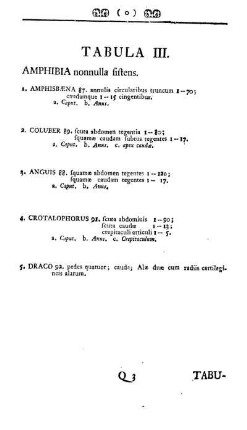 Tabula III. Amphibia nonnulla sistens