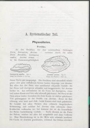 A. Systematischer Teil.