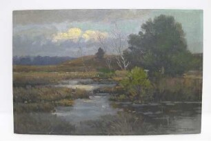 Norddeutsche Moorlandschaft