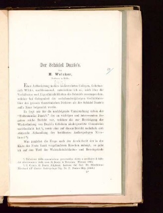 Der Schädel Dante's