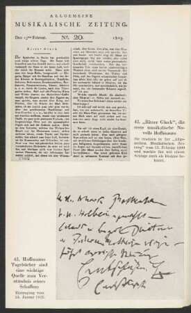 43. Hoffmanns Tagebücher ...