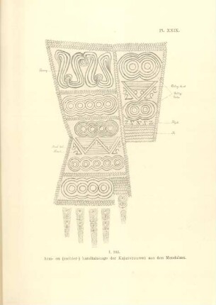 Pl. XXIX. I, 242. Arm- en (rechter-) handtatouage der Kajan vrouwen aan den Mendalam