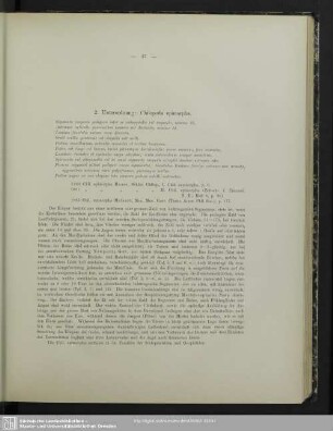 2. Unterordnung: Chilopoda epimorpha