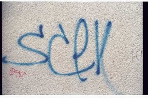 SCeN