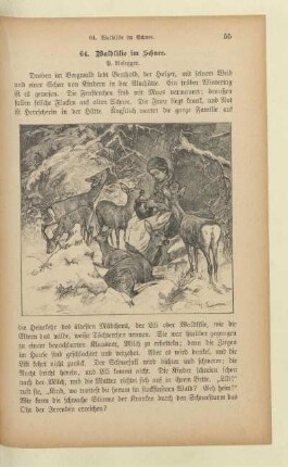 Waldlilie im Schnee.