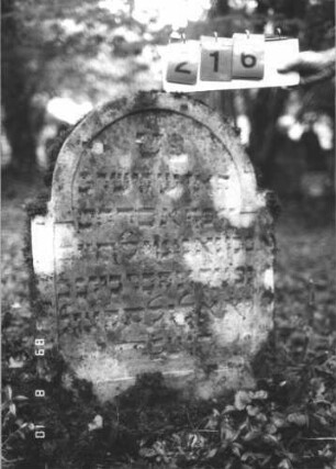 Grabstein 216 (Index: 99799989) Material: Sandstein Zustand: verwittert Maße HxBxT: 96x62x12 cm Beschreibung: Stele, eingezogener Rundbogenabschluß, Schriftfeld eingetieft: Grabstein 216
