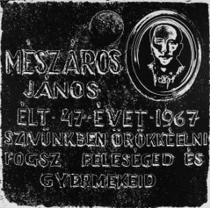 Gedenktafel für Janos Meszaros