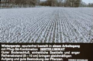 Wintergerste