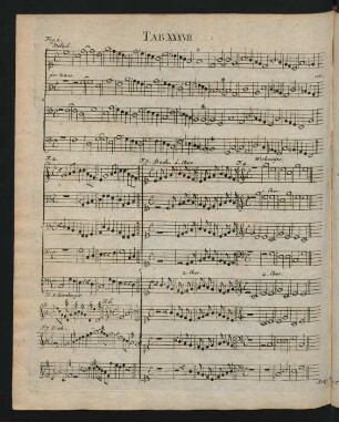 Tab. XXXVII