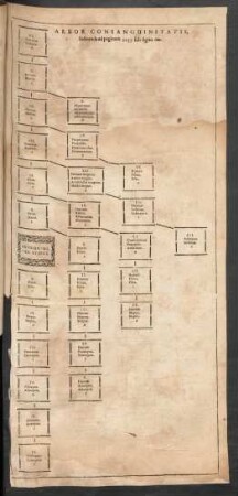 Arbor Consanguinitatis,