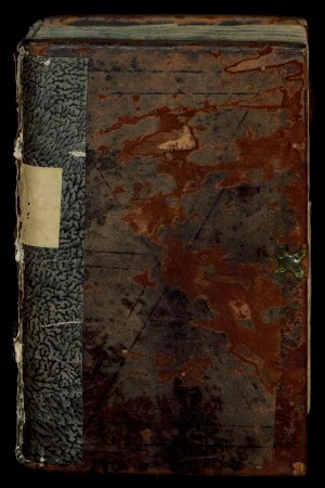 Die 24 goldenen Harfen : Ms. germ. qu. 175