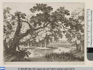 Waldteich mit schrägem Baum