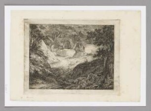 Unterholz von Dampierre