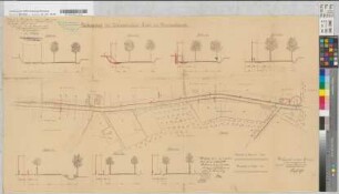 Verlängerung der Kleinbahnlinie Siegel bis Bismarckturm. Situationsplan (Maßstab 1:1 000) und Profilzeichnungen (Maßstab 1:100)