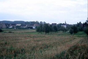Blick zum Ort; Grünland und Obstbaumreihen