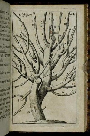 11. figure