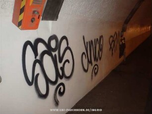 SaiS Junco BFM