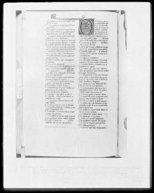 Heisterbacher Bibel — Initiale D, Folio 463verso