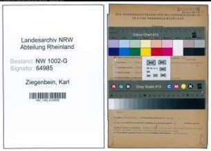 Entnazifizierung Karl Ziegenbein, geb. 13.11.1891 (Schriftleiter)