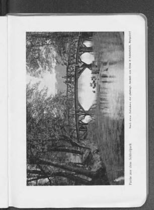 Partie aus dem Schloßpark. Nach einer Aufnahme der photogr. Anstalt von Ohm & Schlottfeldt, Bergedorf