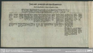 Zwey und zwanzigste und letzte Stammtafel. Das abgestorbene Haus Sachsen-Zeit