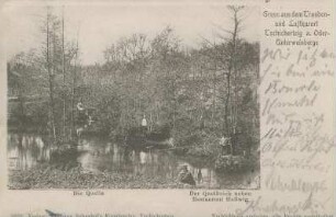 Postkarte, Züllichau/Schwiebus