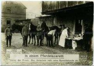 Ein Militär-Tierarzt bei der Behandlung von Pferden
