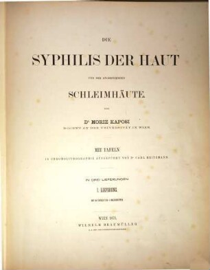 Die Syphilis der Haut und der angrenzenden Schleimhäute, I