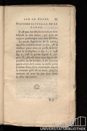 Histoire naturelle de la canne