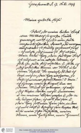 Brief vom 17.02.1899