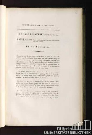 38. Grosse Reinette Rouge Tiquetée. Malus, Punctata, fructu maximo, punctato, hinc rubro, indè lutescente, acidè dulci, brumali.