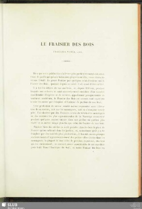Le Fraisier Des Bois (Fragaria Vesca, Linn)