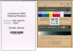 Entnazifizierung Gertrud Domels, geb. 06.03.1902 (Kauffrau)