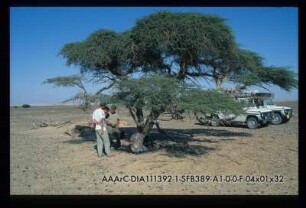 ACACIA