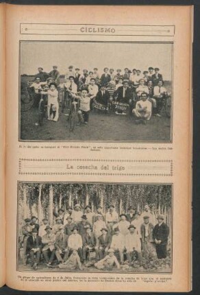 La cosecha del trigo