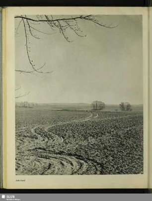 Ackerland