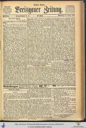 28.10.1894 (Erstes Blatt)