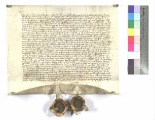 Eignung eines bisher den Grafen von Kirchberg lehenbaren Hofs zu Hüttisheim